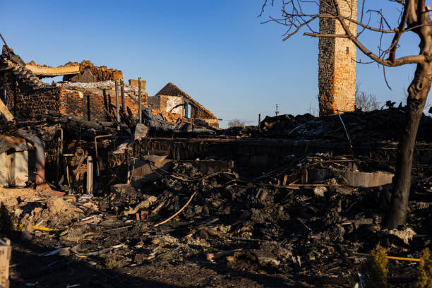 Trusted Fire Damage Removal service in Naples, TX - Fire Damage Laser Cleaning